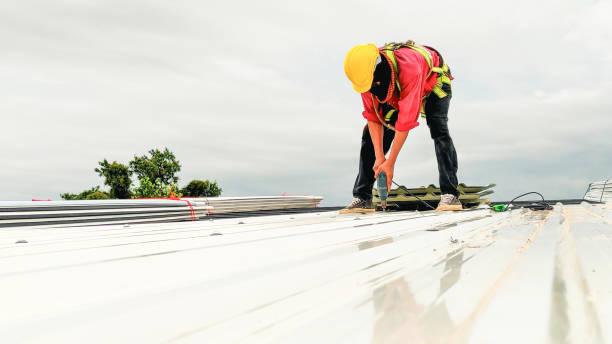 Best Roof Waterproofing  in Burleson, TX